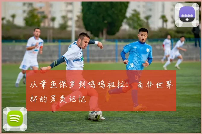 从章鱼保罗到呜呜祖拉：南非世界杯的另类记忆