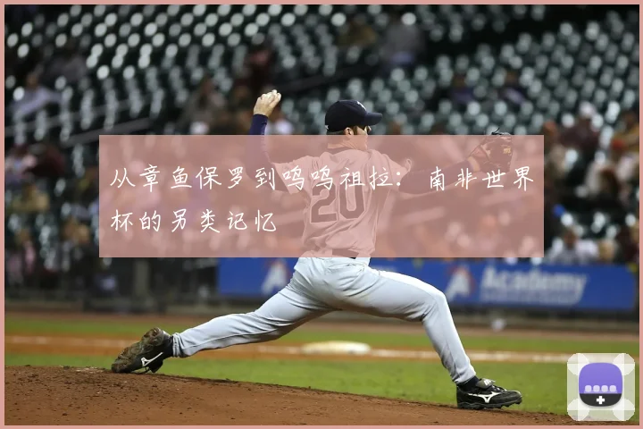 从章鱼保罗到呜呜祖拉:南非世界杯的另类记忆