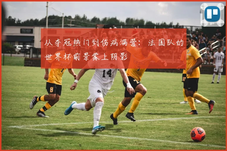 从夺冠热门到伤病满营:法国队的世界杯前景蒙上阴影