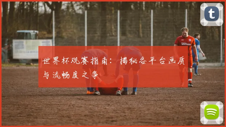 世界杯观赛指南：揭秘各平台画质与流畅度之争